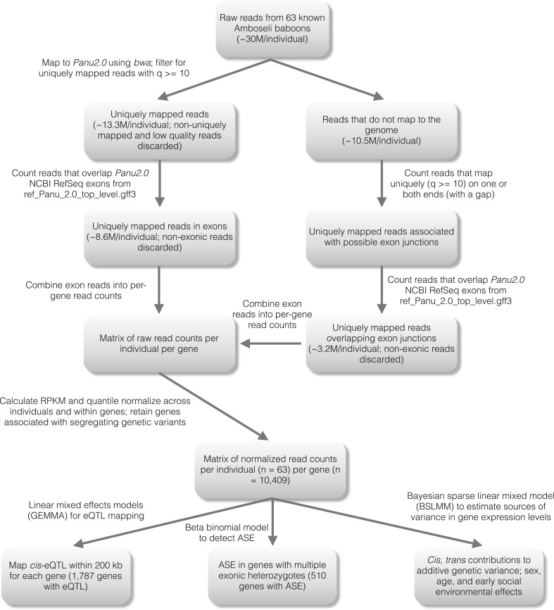 Figure 1—figure supplement 1.