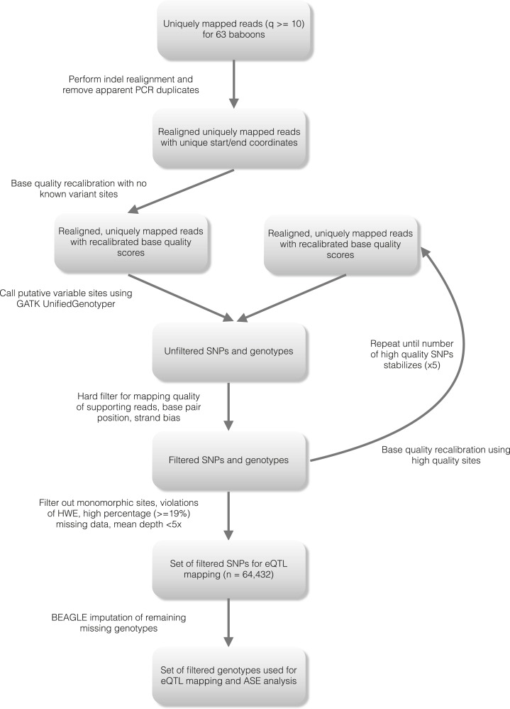 Figure 1—figure supplement 3.