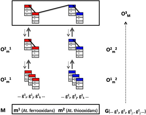 Fig. 2