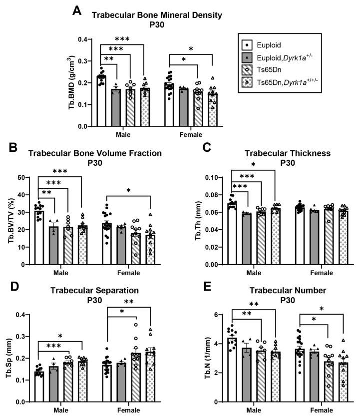 Figure 6: