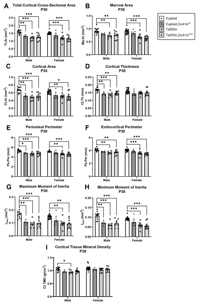 Figure 7: