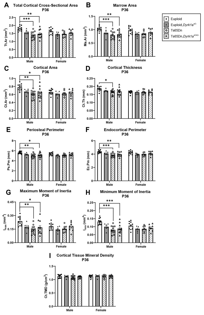 Figure 9: