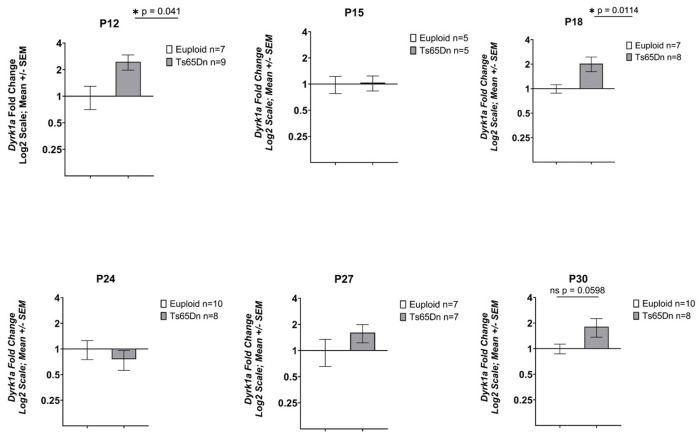 Figure 5: