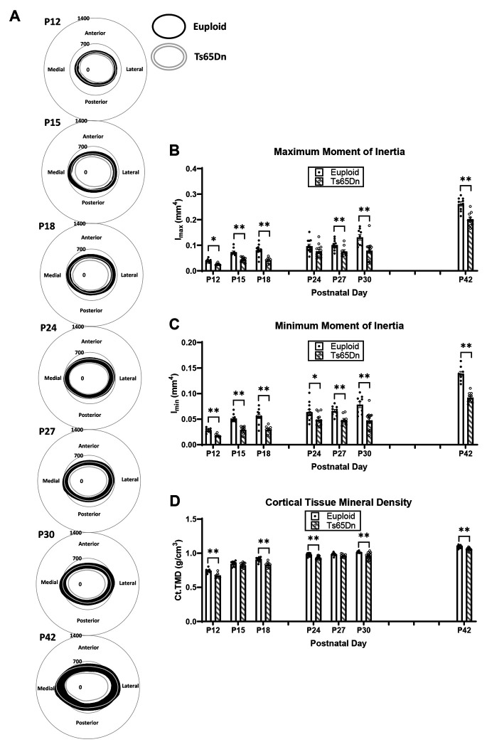 Figure 2: