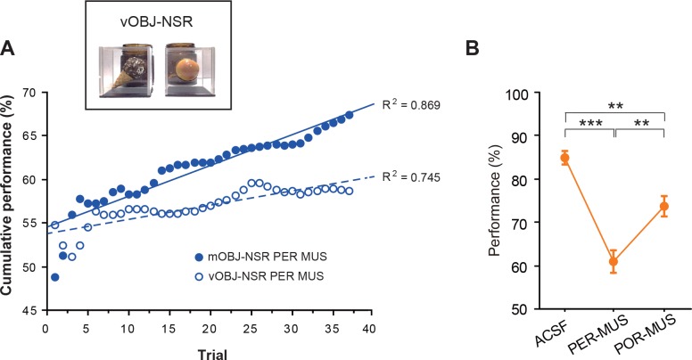 Figure 3—figure supplement 1.