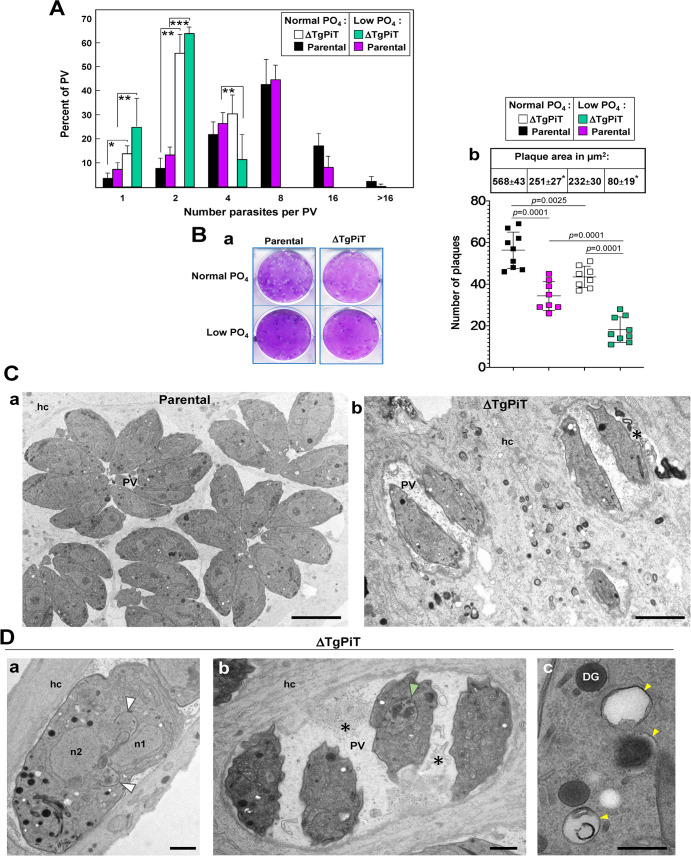 Fig 10