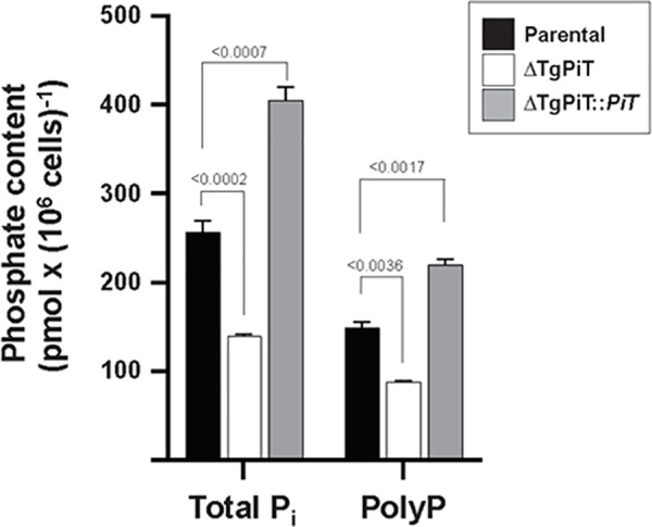 Fig 6