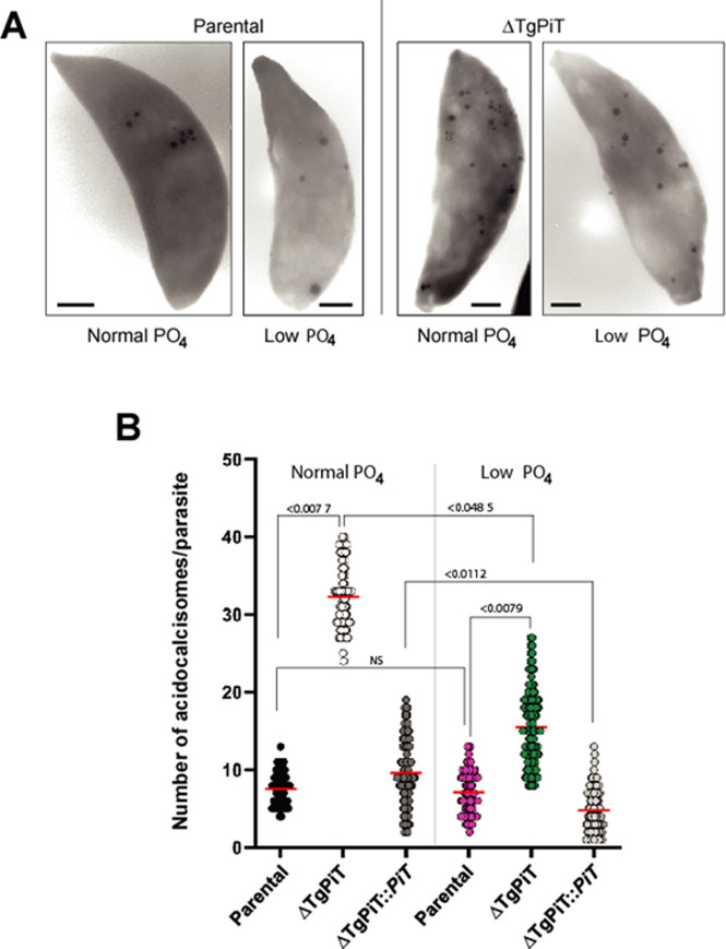 Fig 9