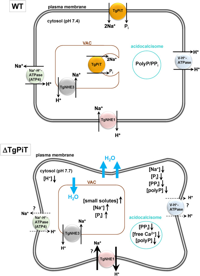 Fig 14