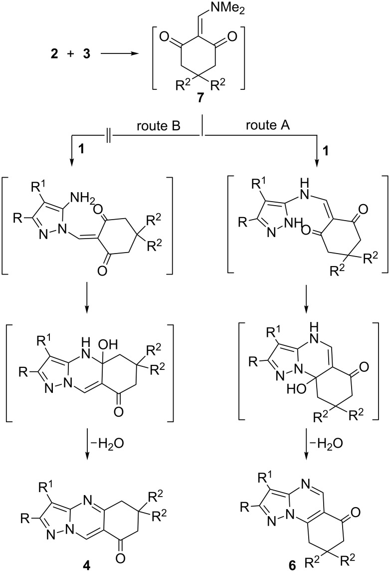 Scheme 2