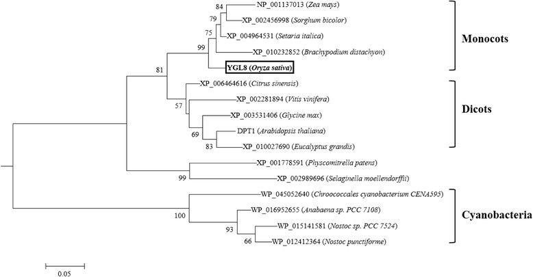 Fig. 9