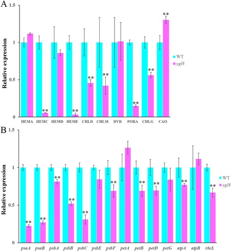 Fig. 11