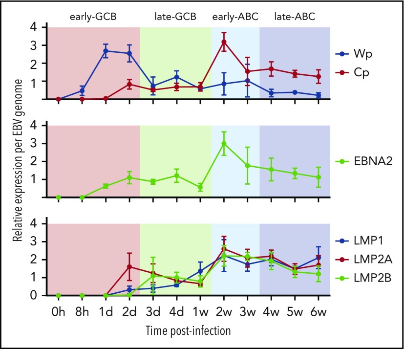 Figure 2.