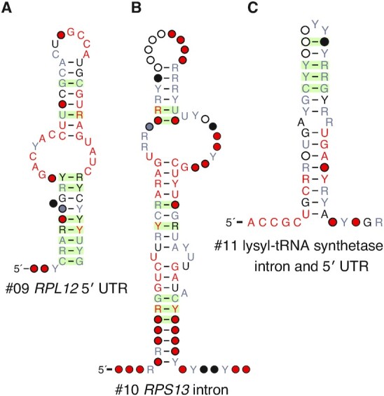 Figure 5.