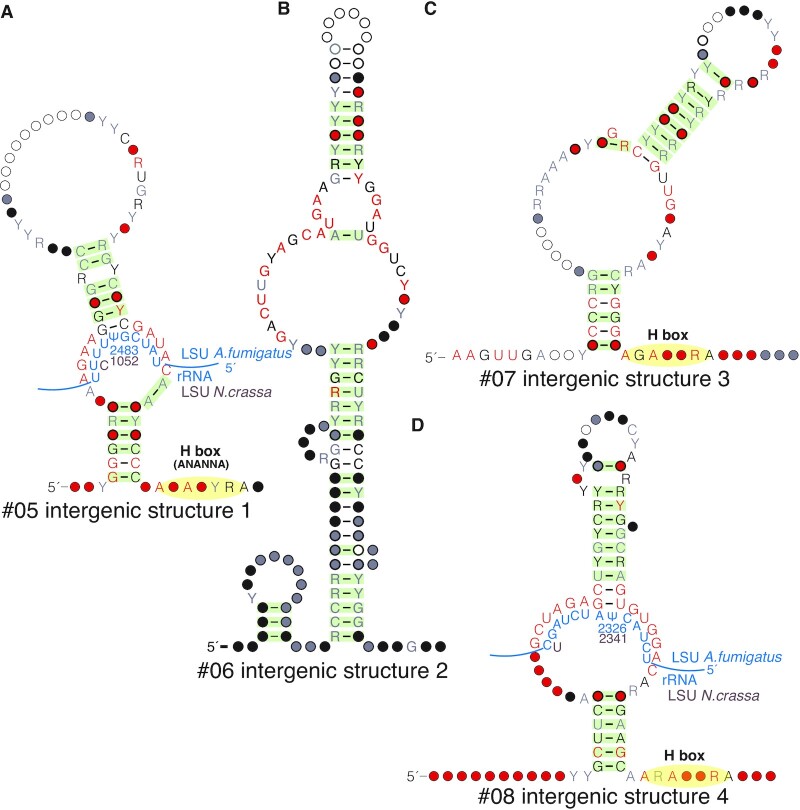 Figure 4.