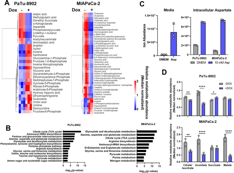 Figure 1—figure supplement 2.