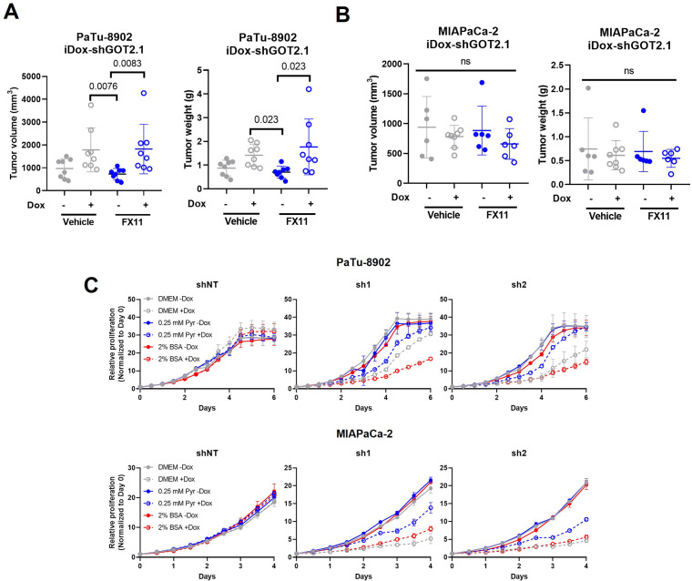 Figure 6—figure supplement 3.