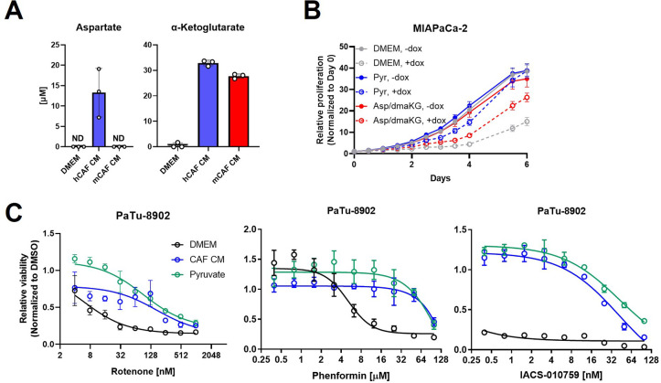 Figure 5—figure supplement 2.