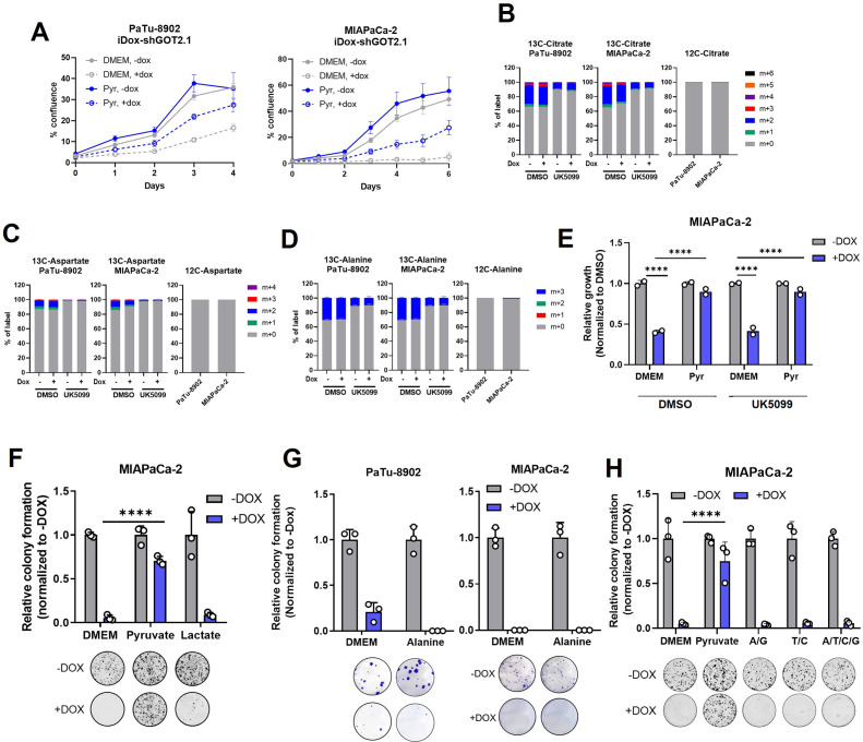 Figure 2—figure supplement 3.