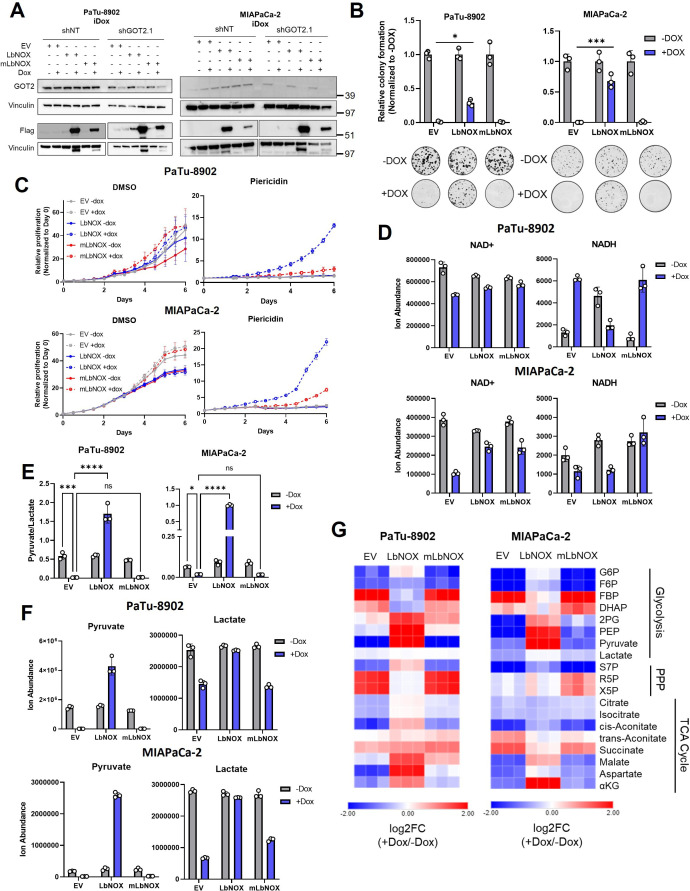 Figure 2—figure supplement 2.