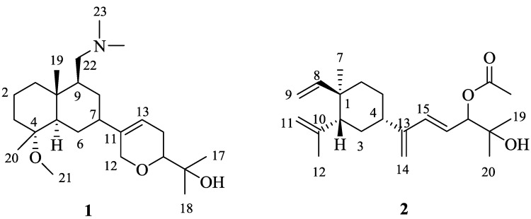 Scheme 1