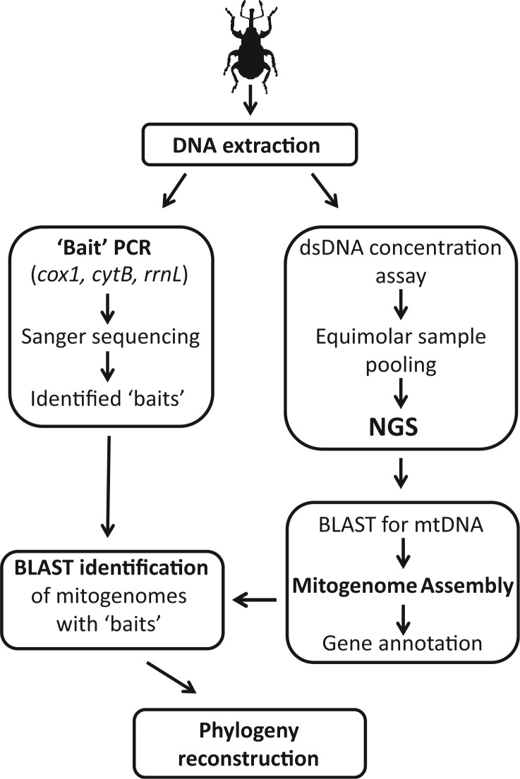 Fig. 6.