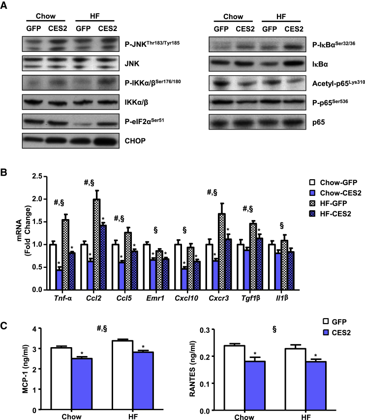 Figure 5