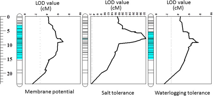 FIGURE 3