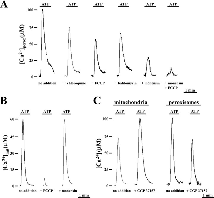 FIGURE 3.