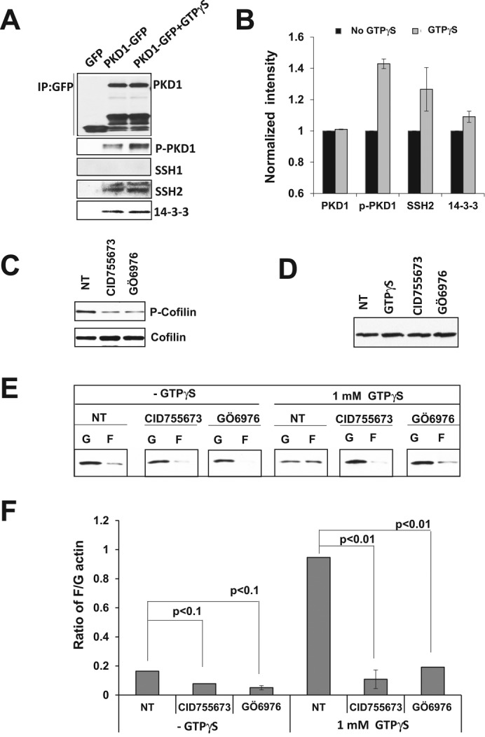 FIGURE 7: