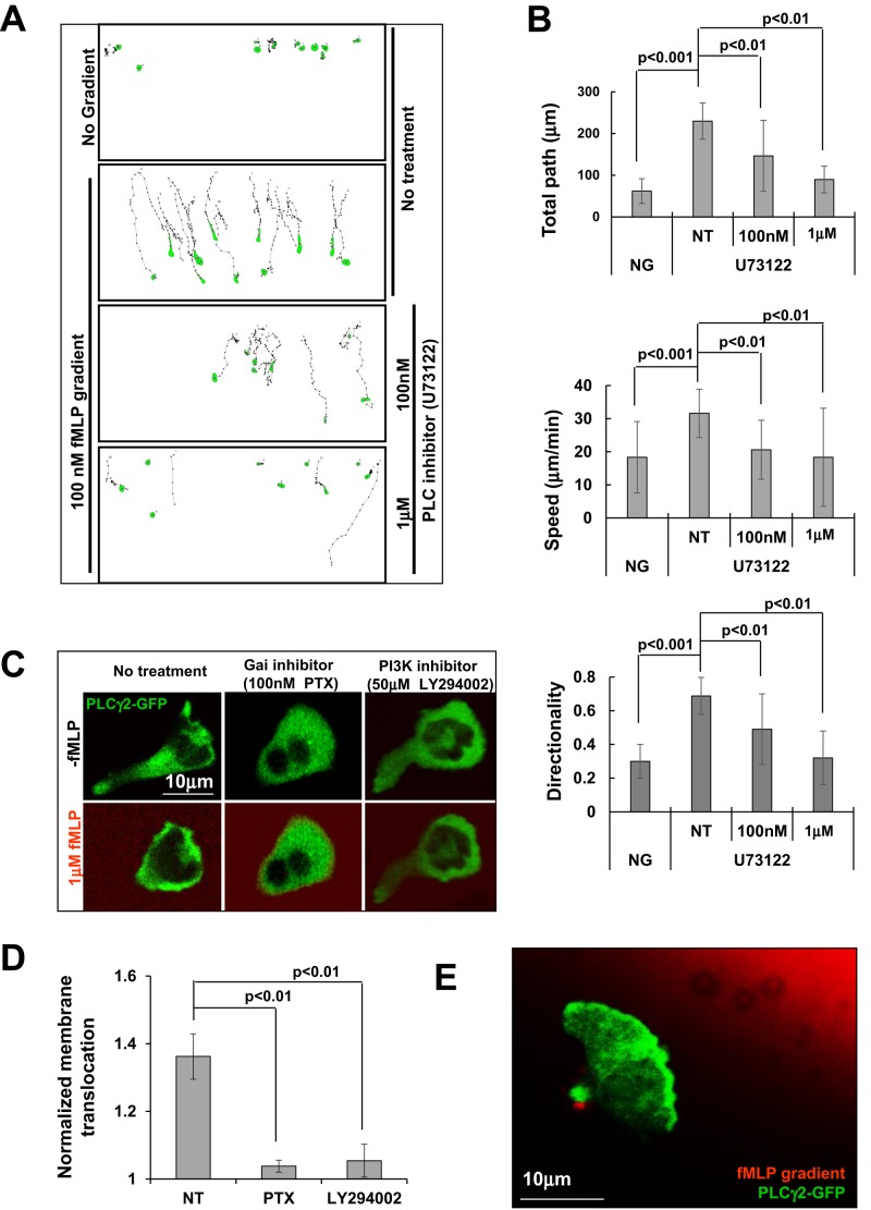 FIGURE 5: