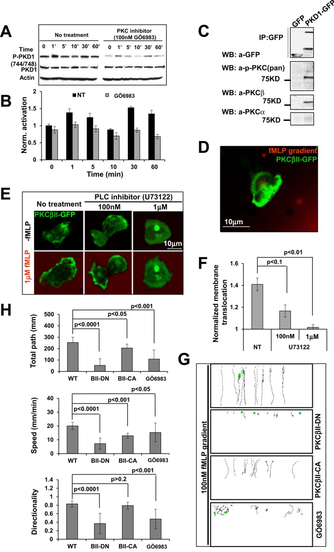 FIGURE 6: