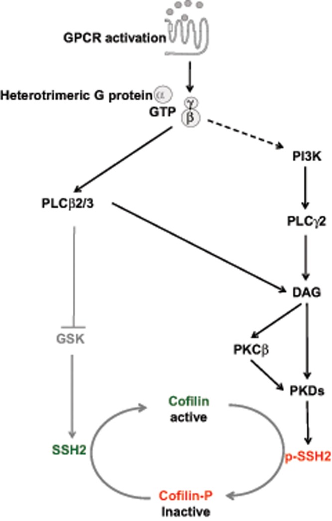 FIGURE 9: