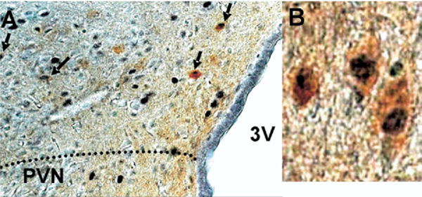 Fig. 7