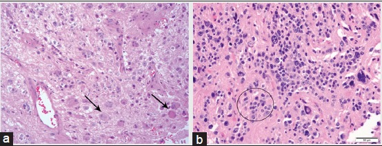 Figure 2: