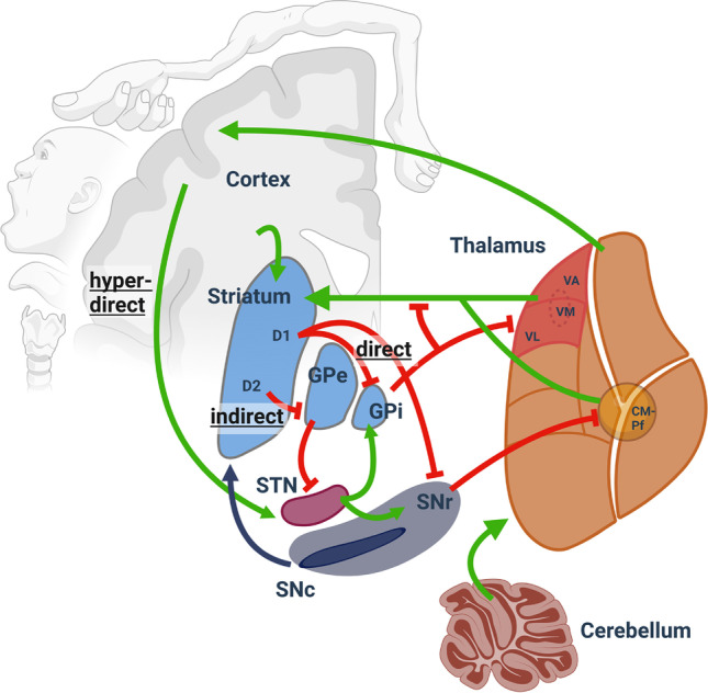 Fig. 1