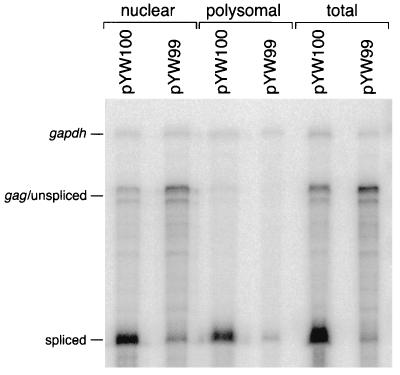 FIG. 5