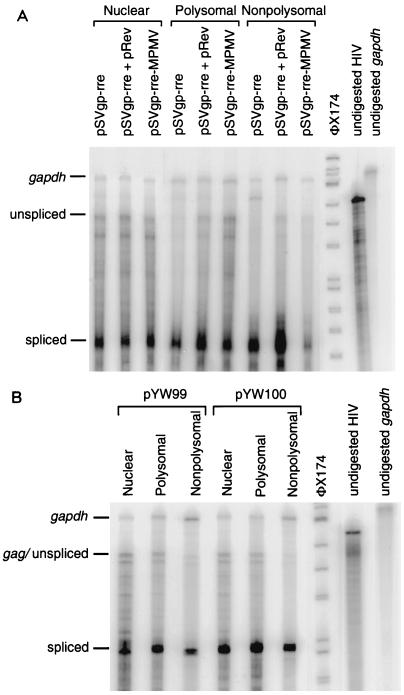 FIG. 6