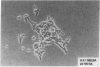 1859