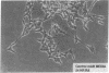 1859