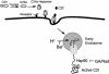 FIG. 4.
