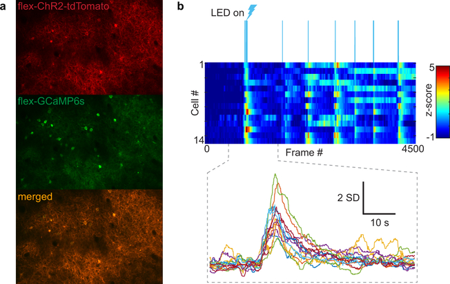 Extended Data Fig. 8 |