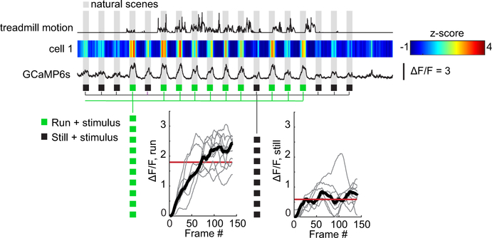 Extended Data Fig. 1 |