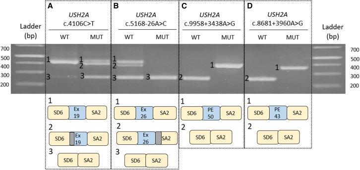 Figure 1