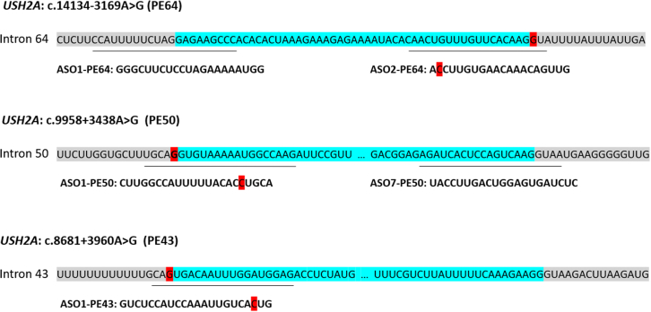 Figure 3