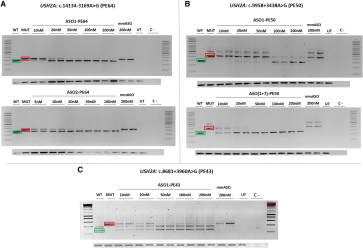 Figure 2