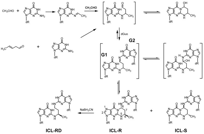 Scheme 1