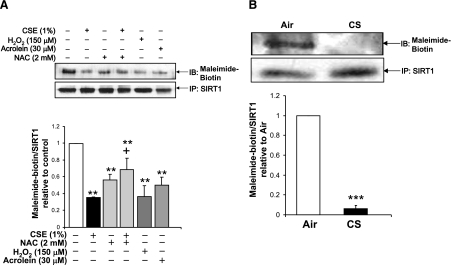 Figure 10.