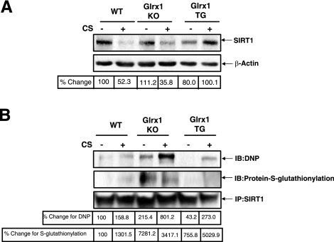 Figure 9.