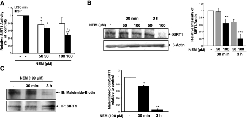 Figure 11.